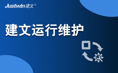 信息系统运行维护服务 体系化保障与价值提升